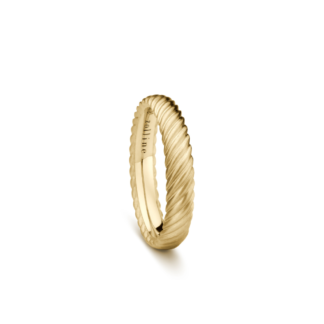 Obrączka Theo z żółtego złota