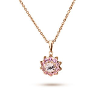 Rosetta etoile rose