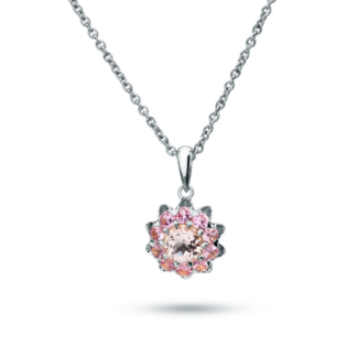 Rosetta etoile rose