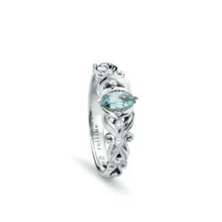 Mirevella aqua